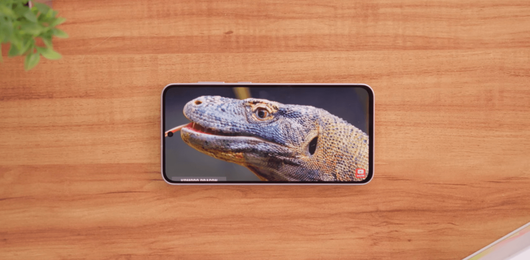 Samsung Galaxy A56 Benchmark Results